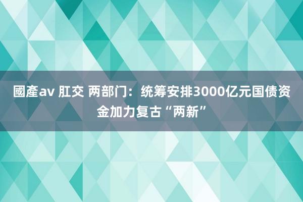 國產av 肛交 两部门：统筹安排3000亿元国债资金加力复古“两新”